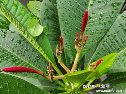 華為nova 3i評(píng)測(cè)：顏值高，拍照好的手機(jī)在這里!