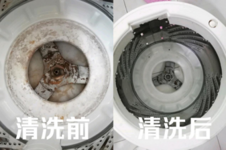 皮膚病是這么來的！洗衣機(jī)五年暗藏污垢1公斤