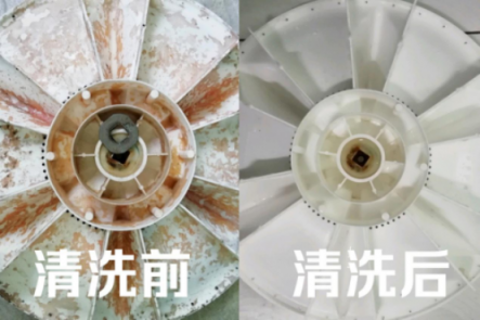 皮膚病是這么來的！洗衣機(jī)五年暗藏污垢1公斤