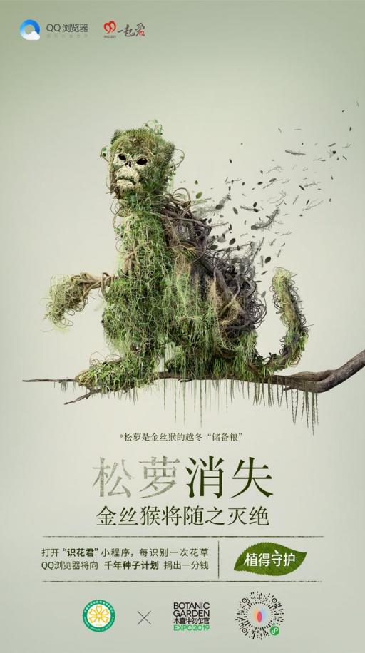 QQ瀏覽器攜手中科院昆植所，啟動(dòng)“千年種子計(jì)劃”