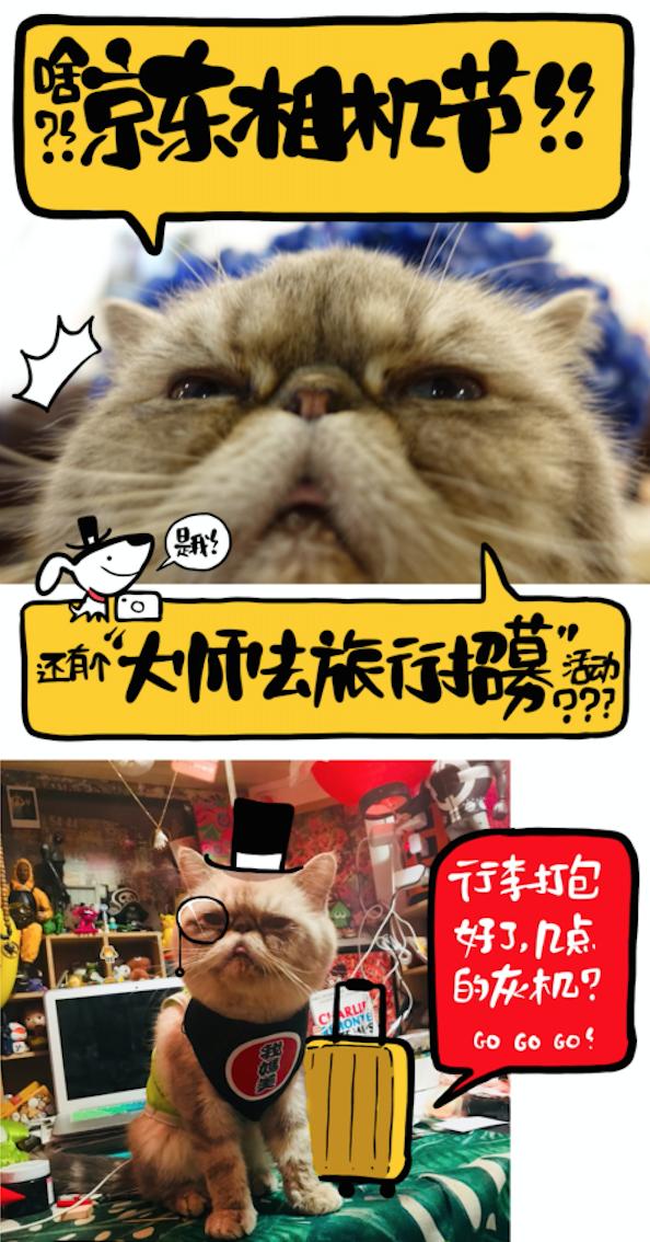 京東相機(jī)節(jié)“大師帶你去旅行”活動到底多誘人？貓咪都嚷著參加
