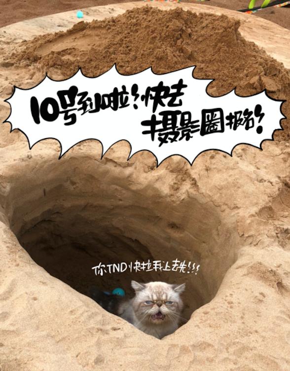 京東相機(jī)節(jié)“大師帶你去旅行”活動到底多誘人？貓咪都嚷著參加