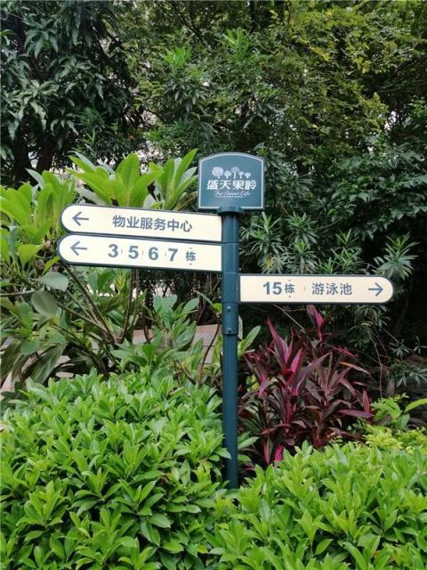 AI智能全方位助陣，拍照還會(huì)智能構(gòu)圖，充滿智慧的麥芒7上手體驗(yàn)