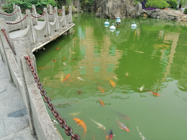 顏值與性能并存，還有AI四攝，華為麥芒7來(lái)了