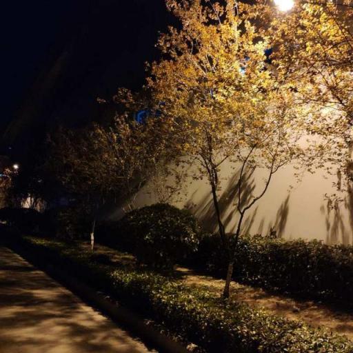 華為麥芒7開箱測評：究竟值不值得買？