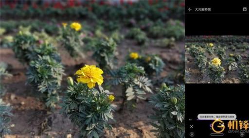 AI加持到底能帶來什么？ 華為麥芒7評測