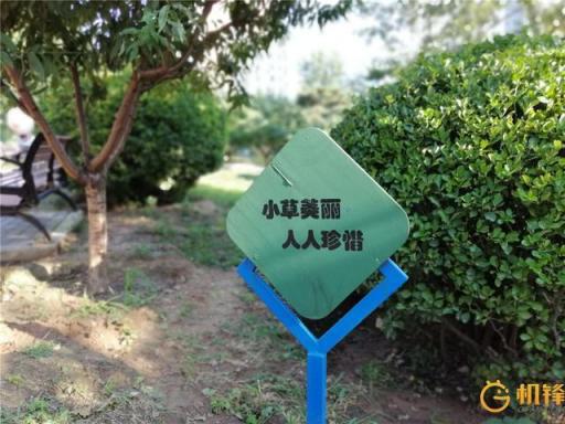 AI加持到底能帶來什么？ 華為麥芒7評測