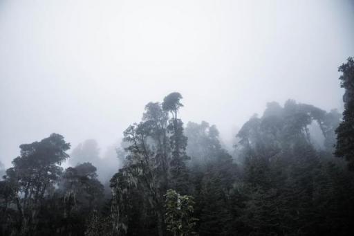 波濤？山路？風(fēng)雨兼程，麥芒無懼挑戰(zhàn)