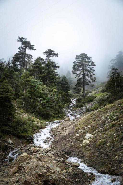 波濤？山路？風(fēng)雨兼程，麥芒無懼挑戰(zhàn)