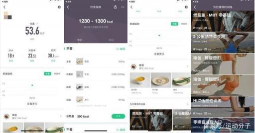 Keep 體脂秤肉身評測：顏值在線，體脂率等數(shù)據(jù)是否精準？