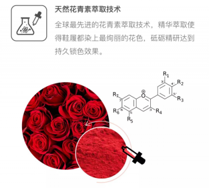 Everugg集香氣與帥氣于一身的鞋子 還有什么理由拒絕？