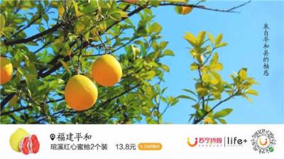 蘇寧928超級(jí)拼購(gòu)日，蜜柚單日銷(xiāo)量突破30萬(wàn)單