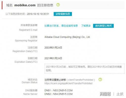 中國錦鯉“信小呆”是內(nèi)定？鬧烏龍是因?yàn)椴涣私膺@些域名常識(shí)