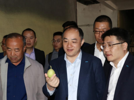 蘇寧為消費者承包庫爾勒香梨園，總裁化身果農親自采摘