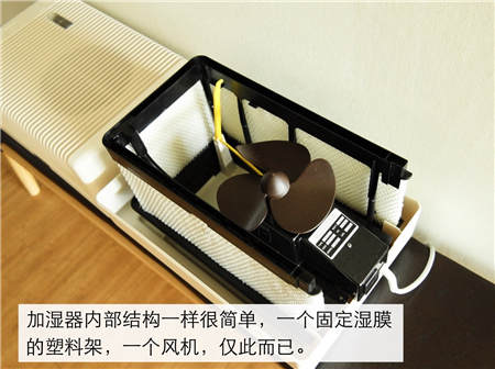 加濕器評測：你們愛的BRUNE終于有測評了