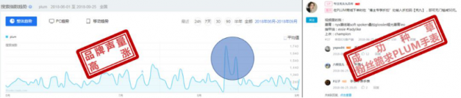 雙十一營(yíng)銷的幾點(diǎn)訣竅 微播易起底兩大經(jīng)典電商案例