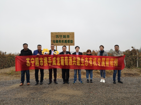 蘇寧與威龍合作，選中葡萄酒產(chǎn)地專供蘇寧