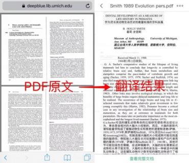 彩云小譯：中日英三語在線文檔翻譯，為外語專業(yè)學(xué)生提供“神助攻”