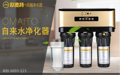 雙十一來了 凈水器選購哪個牌子好？