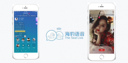 海豹聊天：社交直播產(chǎn)業(yè)的發(fā)展要瞄準95后、00后的需求