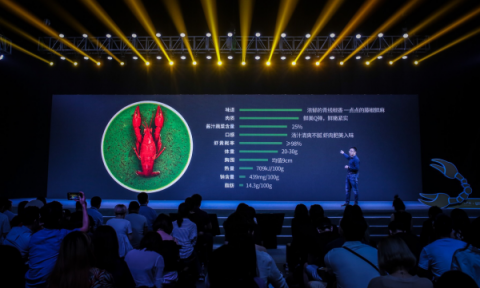 互聯(lián)網(wǎng)公司雙十一員工減壓出新招，網(wǎng)易“豬場(chǎng)”變“鵝廠”？