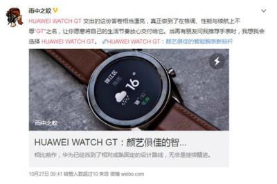 兩周續(xù)航有口皆碑 華為WATCH GT預售火爆搶眼雙11