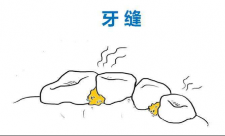 沖牙器是否值得購買？看了這篇沖牙器排行榜就會知道！