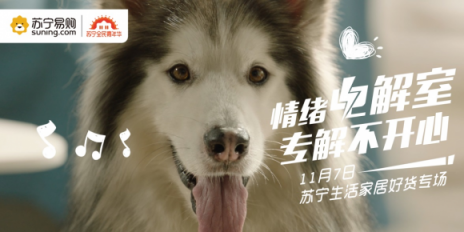 蘇寧雙十一為何刷屏？背后的圈層營銷才是絕密