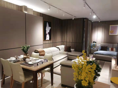 蘇寧智慧零售業(yè)態(tài)再升級，構(gòu)筑品質(zhì)消費增長新公路