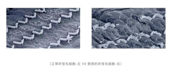 為了用戶的健康，F(xiàn)IIL有話要講