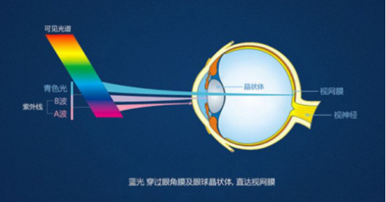 在家上網(wǎng)課如何保護(hù)視力？解讀步步高家教機(jī)S5護(hù)眼黑科技