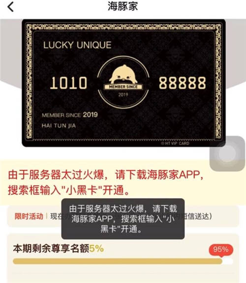 品牌C位計劃推出，首創(chuàng)海豚家小黑卡吸睛亮相