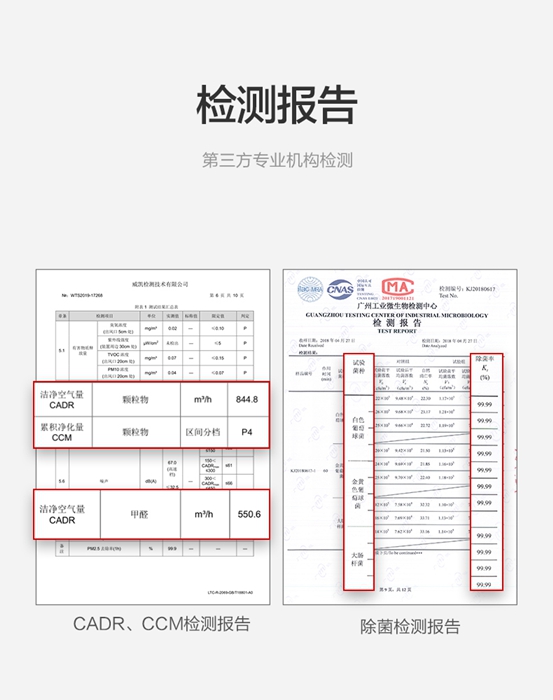 楊柳絮泛濫引發(fā)過(guò)敏癥，IAM空氣凈化器助你遠(yuǎn)離過(guò)敏“元兇”
