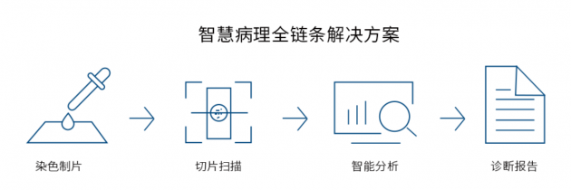 視見科技完成新一輪數(shù)千萬融資，產(chǎn)業(yè)資本助力AI病理加速落地