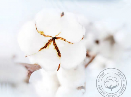 新品麗麗貝爾Lily Bell一次性純棉洗臉巾火爆來(lái)襲，高品質(zhì)，更安心