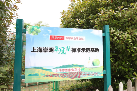 數(shù)字鄉(xiāng)村建設(shè)進(jìn)行時(shí)：阿里巴巴打造上海首個(gè)“盒馬村”