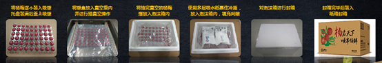 助力城鄉(xiāng)農(nóng)業(yè)特色經(jīng)濟走上新臺階！順豐升級楊梅寄遞行業(yè)解決方案