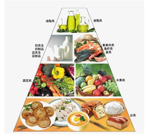 驚呆了！這款TCL C5智屏冰箱竟然還能當(dāng)營養(yǎng)師