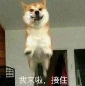 360導航超重磅升級！一個主頁給你整個世界！