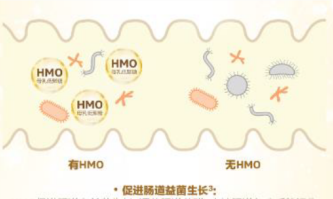 合生元HMO配方奶粉三大強(qiáng)化配方組合，建造更穩(wěn)定的成長壁壘