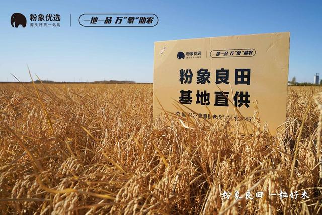 助農(nóng)再出擊！粉象生活與黑龍江肇源胚芽米基地達(dá)成合作
