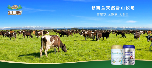 紐瑞滋奶粉怎么樣？剖析新西蘭原裝進(jìn)口奶粉的安全與營養(yǎng)！