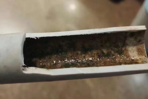 凈水器有用嗎？一篇解答您的凈水器疑問