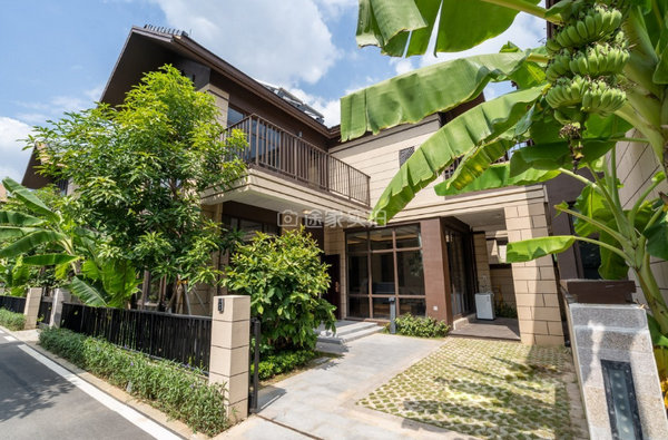 免稅政策帶火海南民宿：客單價(jià)小幅提升 游客扎堆住免稅店旁忙購物