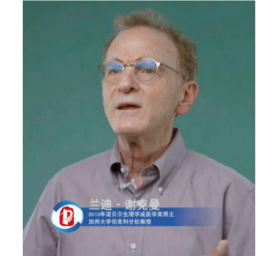 2020中關(guān)村論壇開幕，全球科技領(lǐng)袖匯聚，給出關(guān)于未來的“參考”答案