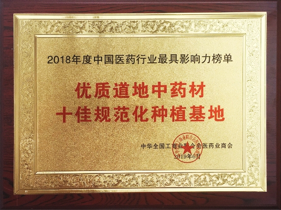 走進仲景宛西制藥藥材基地 探索“藥材好，藥才好”的秘密