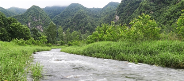 走進仲景宛西制藥藥材基地 探索“藥材好，藥才好”的秘密