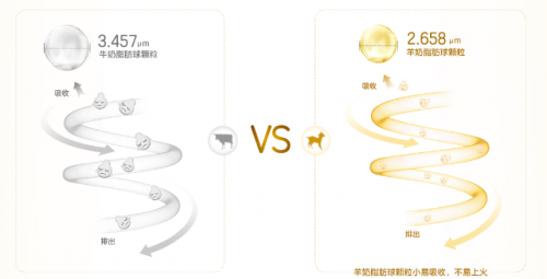 羊奶粉好還是牛奶粉好？寶媽親證適合寶寶的才是最好的
