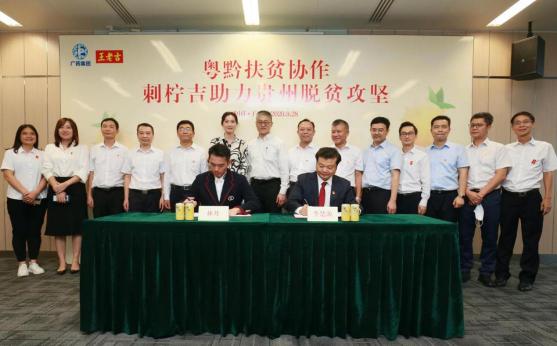 貴州黨政代表團(tuán)調(diào)研王老吉扶貧工作 鐘院士再次點贊貴州刺梨