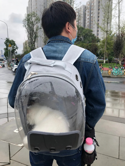 抖inCity進(jìn)階的兩年，一場(chǎng)人與城的奇妙之旅